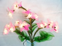 Pink Orchid plant_sml.jpg